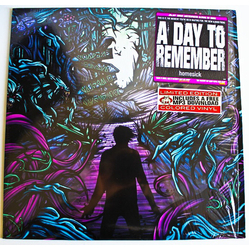 Day To Remember Homesick VINYL LP