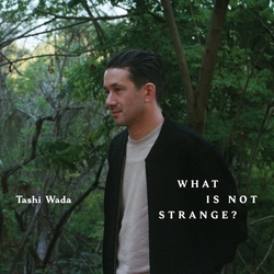Tashi Wada What Is Not Strange? 2 VINYL LP