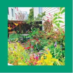 Pinks & Purples Reds Unwishing Well NASTURTIUM ORANGE VINYL LP