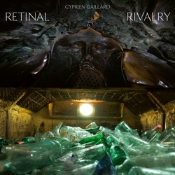 Cyprien Gaillard Retinal Rivalry PICTURE DISC VINYL LP