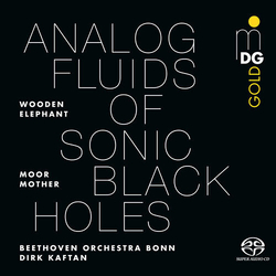 Moor Mother Analog Fluids Of Sonic Black Holes VINYL LP