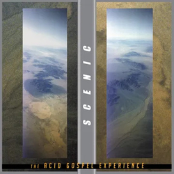 Scenic Acid Gospel Experience VINYL 2 LP TRANSLUCENT ICE GREEN