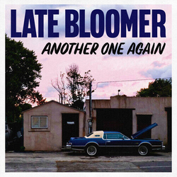 Late Bloomer Another One Again VINYL LP
