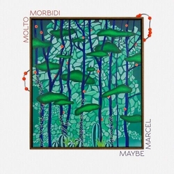 Molto Morbidi Maybe Marcel VINYL LP