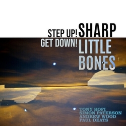 Sharp Little Bones Step Up! Get Down! 2 VINYL LP