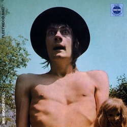 Fleetwood Mac Mr. Wonderful VINYL LP