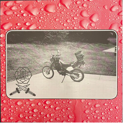 Bass Drum Of Death Say I Won't VINYL LP