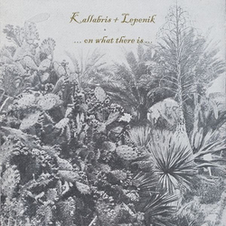 Kallabris / Lepenik On What There Is VINYL LP