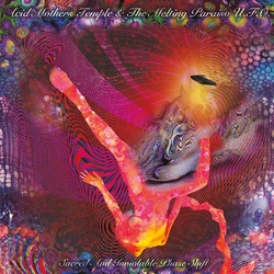 Acid Mothers Temple & The Melting Paraiso U.F.O. Sacred & Inviolable Phase Shift Vinyl LP