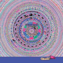 Sea Moss Bidet Dreaming Vinyl LP