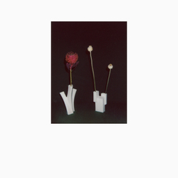 Felicia Atkinson Flower & The Vessel Vinyl LP