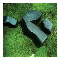 Camila Fuchs Heart Pressed Between Stones Vinyl LP