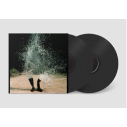 Gastr Del Sol Upgrade & Afterlife 2 VINYL LP