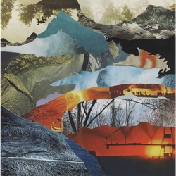 David Grubbs Whistle From Above VINYL LP