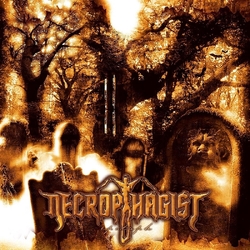 Necrophagist Epitaph TRANSLUCENT GOLD & BLACK GALAXY MERGE VINYL LP
