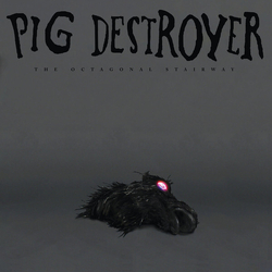 Pig Destroyer Octagonal Stairway VINYL LP