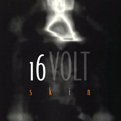 16Volt Skin LIMITED EDITION ORANGE VINYL LP