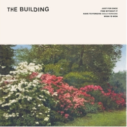 Building Just For Once VINYL LP