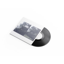 Okkyung Lee Just Like Any Other Day IGÇÔ'ES E : BACKGROUND MUSIC FOR YOUR MUNDANE ACTIVITIES VINYL LP