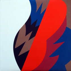 Fiery Furnaces Remember Vinyl LP
