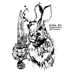 Black Pus Terrestrial Seethings VINYL LP