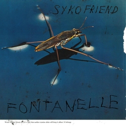 Syko Friend Fontanelle VINYL LP