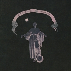 Lentamente Bienvenida STRAWBERRY MILKSHAKE VINYL LP