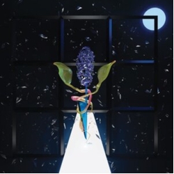 Darian Thomas Room With Many Doors-Night VINYL LP