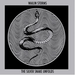 Wailin Storms Silver Snake Unfolds BLUE & BLACK GALAXY VINYL LP