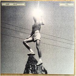 Mount Kimbie Love What Survives VINYL LP