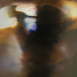 Animal Collective Fall Be Kind VINYL LP