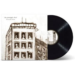 Pineapple Thief 10 Stories Down VINYL LP