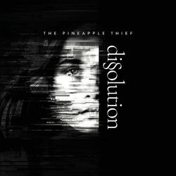 Pineapple Thief Dissoultion VINYL LP