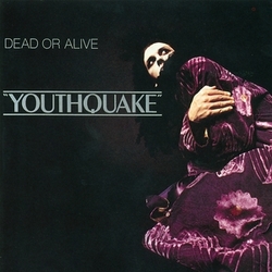 Dead Or Alive Youthquake VINYL LP