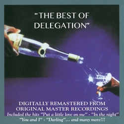 Delegation Best Of VINYL LP