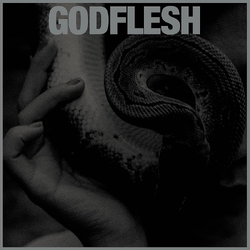 Godflesh Purge VINYL LP