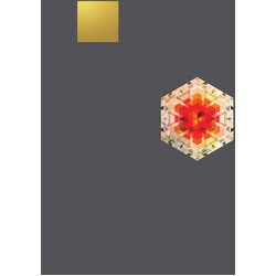 Gold Panda Half Of Where You Live Vinyl LP
