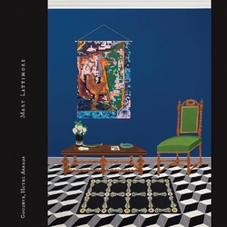 Mary Lattimore Goodbye Hotel Arkada INKWELL VINYL LP