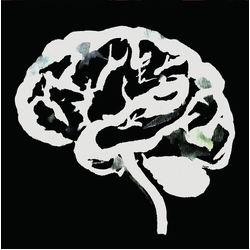 Ruins Brain Flakes THE LOST COMBO TAPES VINYL LP