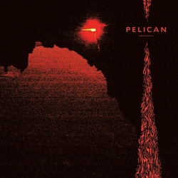 Pelican (2) Nighttime Stories