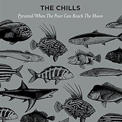 Chills Pyramid / When The Poor Can Reach The Moon Vinyl LP