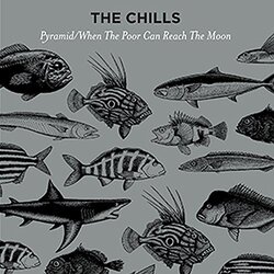 Chills Pyramid / When The Poor Can Reach The Moon Vinyl LP