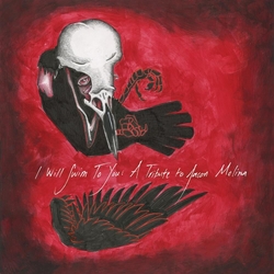 Various Artists I Will Swim To You: A Tribute To Jason Molina VINYL 2 LP COMET DUST RED