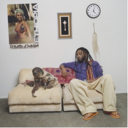 Amine 13 Months Of Sunshine VINYL LP