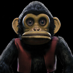 Edo Van Breemen Monkey VINYL LP
