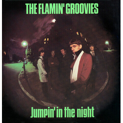 Flamin Groovies Jumpin In The Night VINYL LP