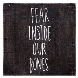 Almost Fear Inside Our Bones Vinyl LP
