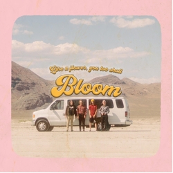 Carpool Tunnel Bloom VINYL LP
