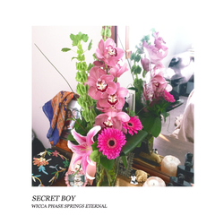 Wicca Phase Springs Eternal Secret Boy VINYL LP