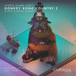 Michael Staple Video Game Lofi: Donkey Kong Country 2 VINYL LP